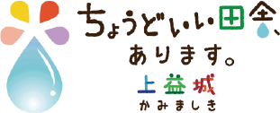 ちょどいい田舎、あります。上益城